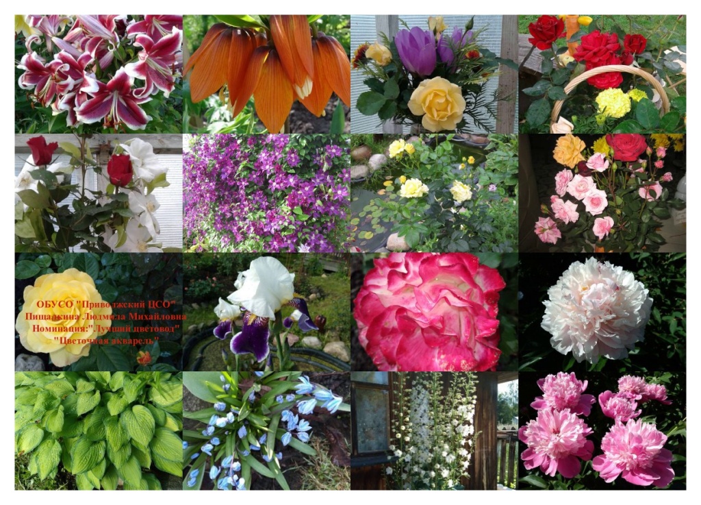 Пищалкина Л.М.jpg